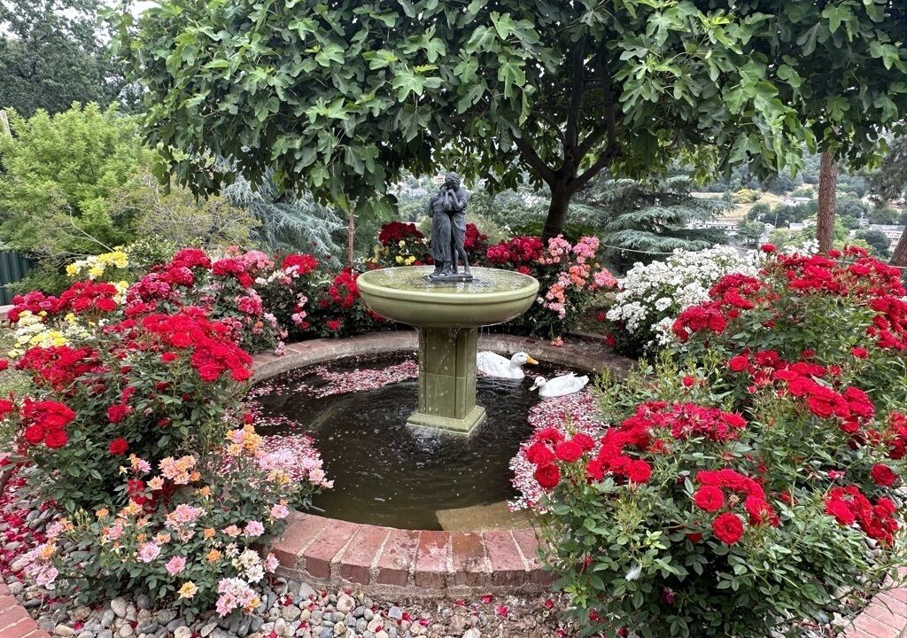 Photo of Outdoor in Sonora