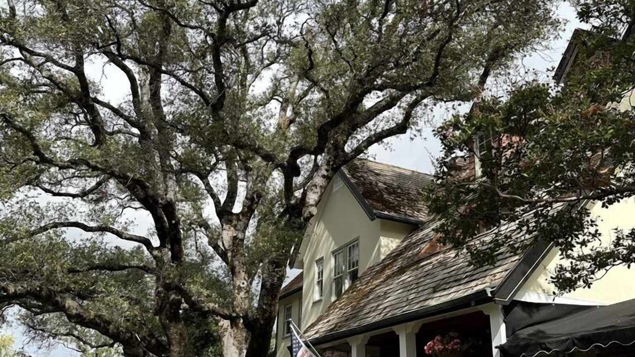 Photo of Outdoor in Sonora