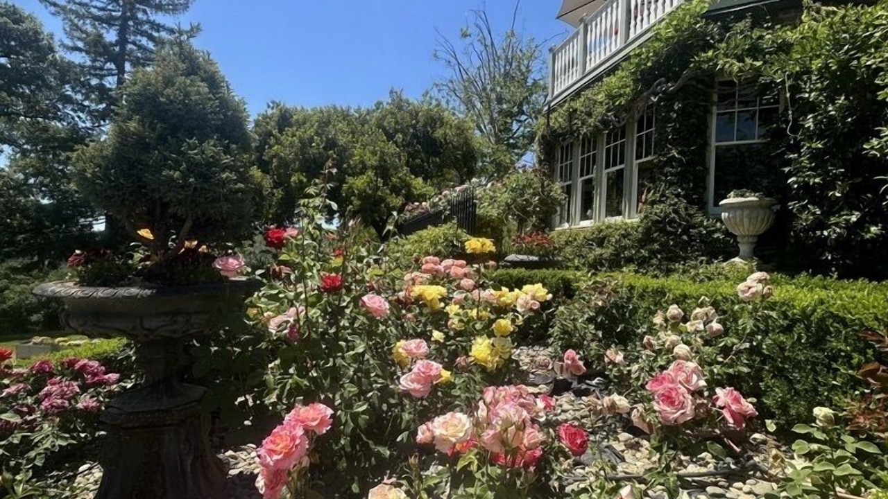 Photo of Outdoor in Sonora