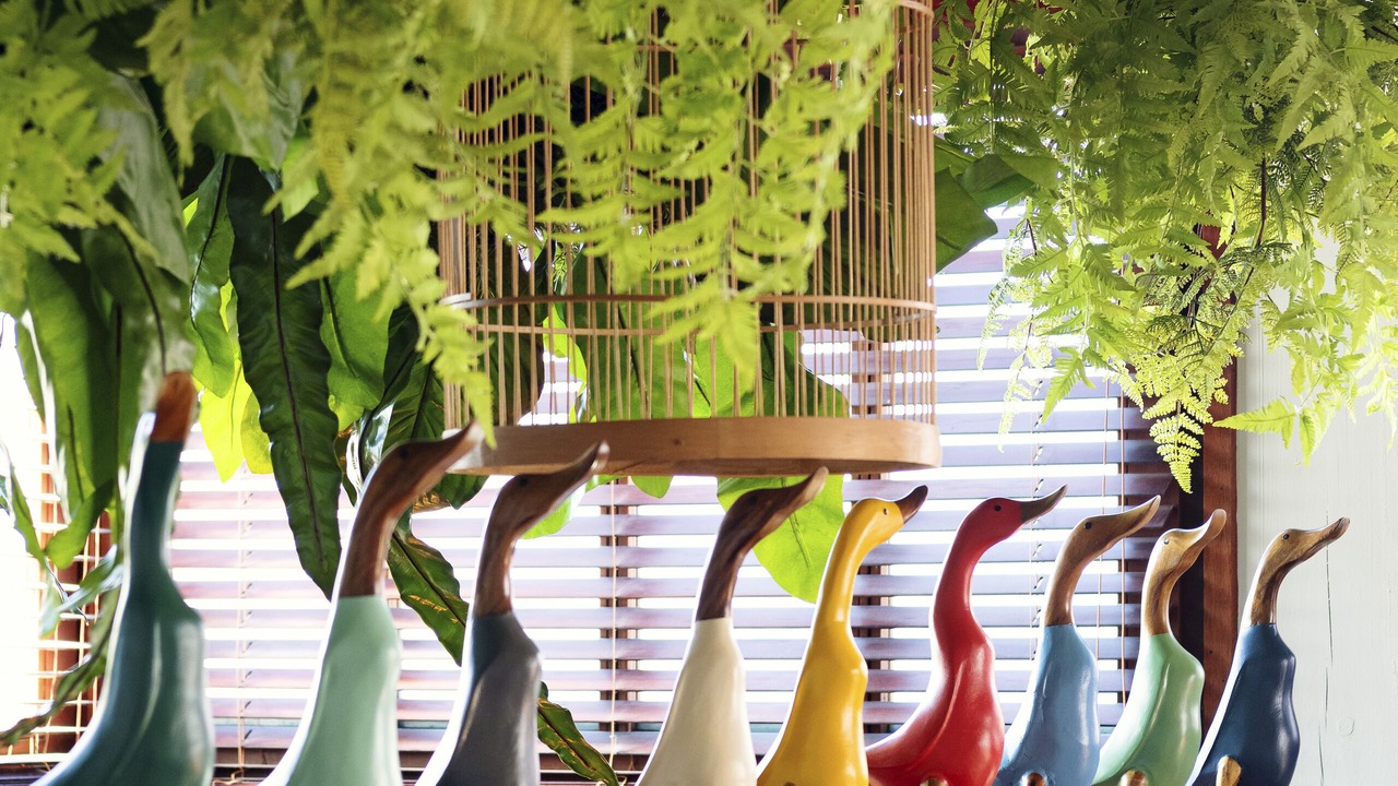 Photo of Others in Contis-les-Bains