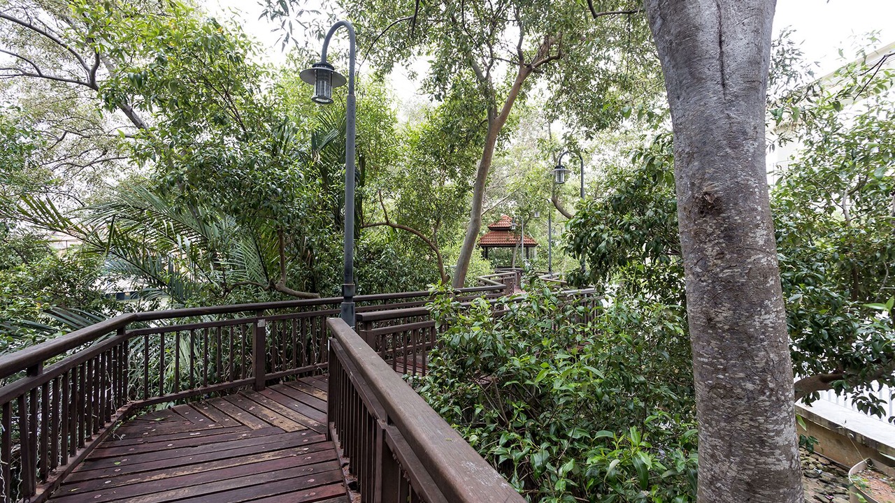 Photo of Outdoor in Bunga Paya Pantai