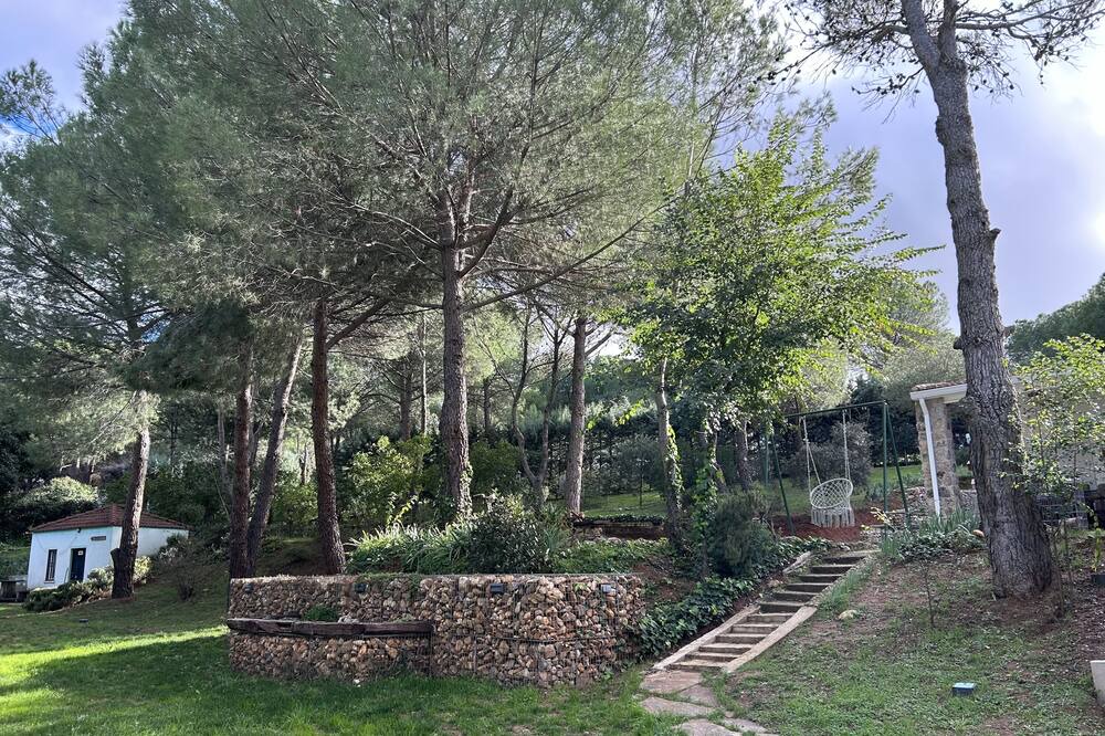 Photo of Outdoor in Uceda