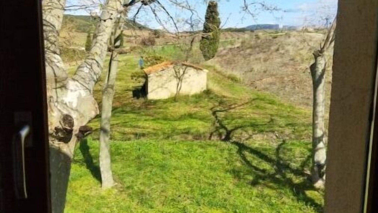 Photo of Others in Tautavel