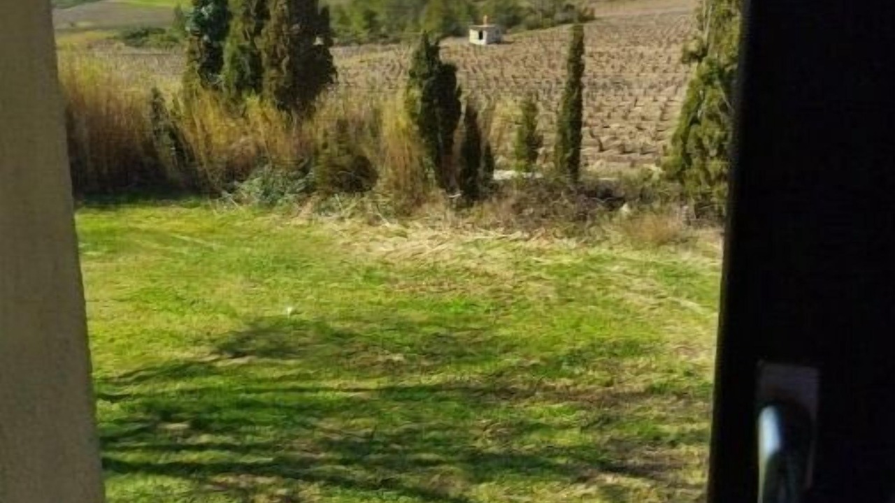 Photo of Others in Tautavel