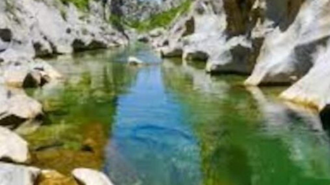 Photo of Others in Tautavel