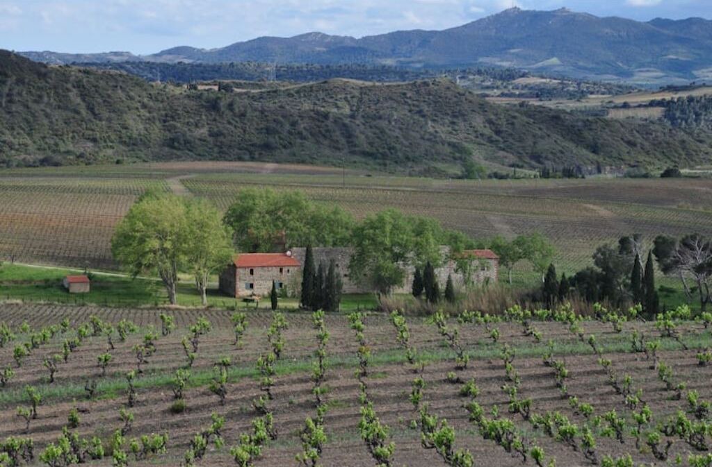 Photo of Others in Tautavel