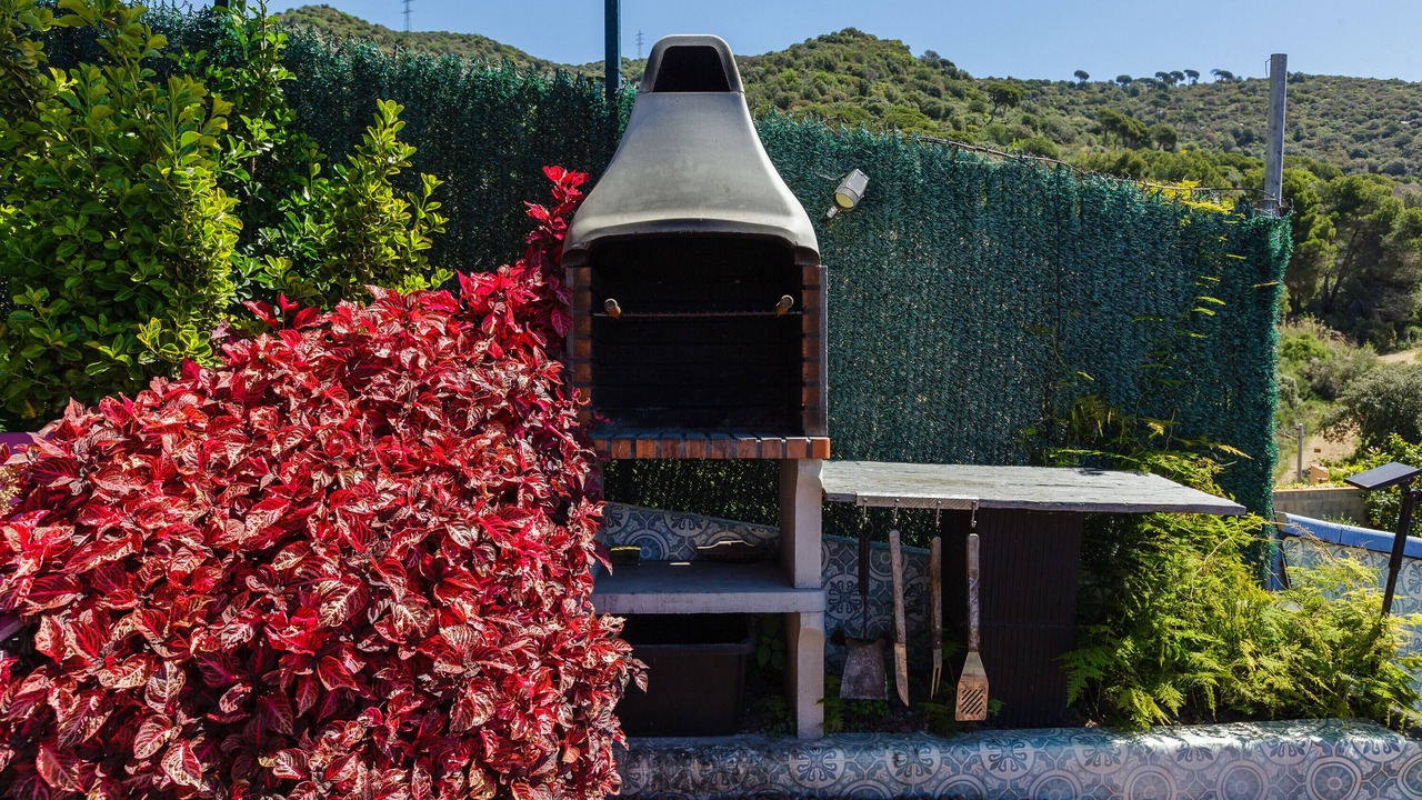 Photo of Outdoor in Teia