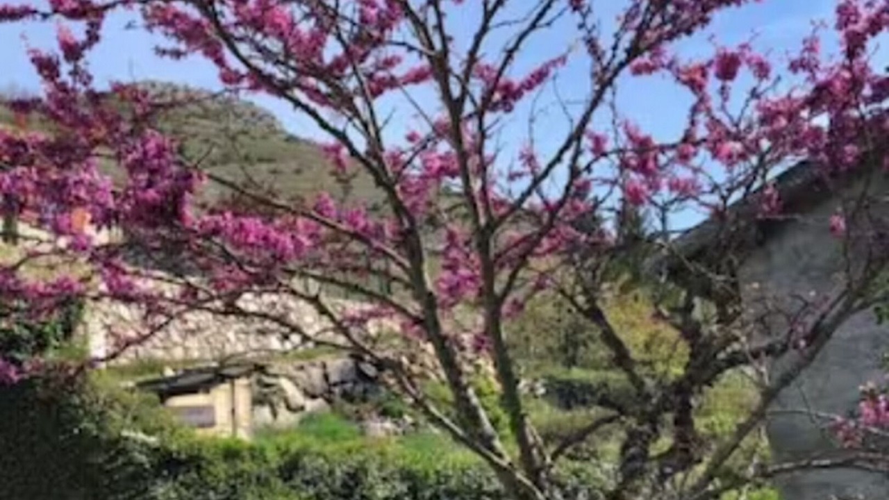 Photo of Outdoor in Caussou