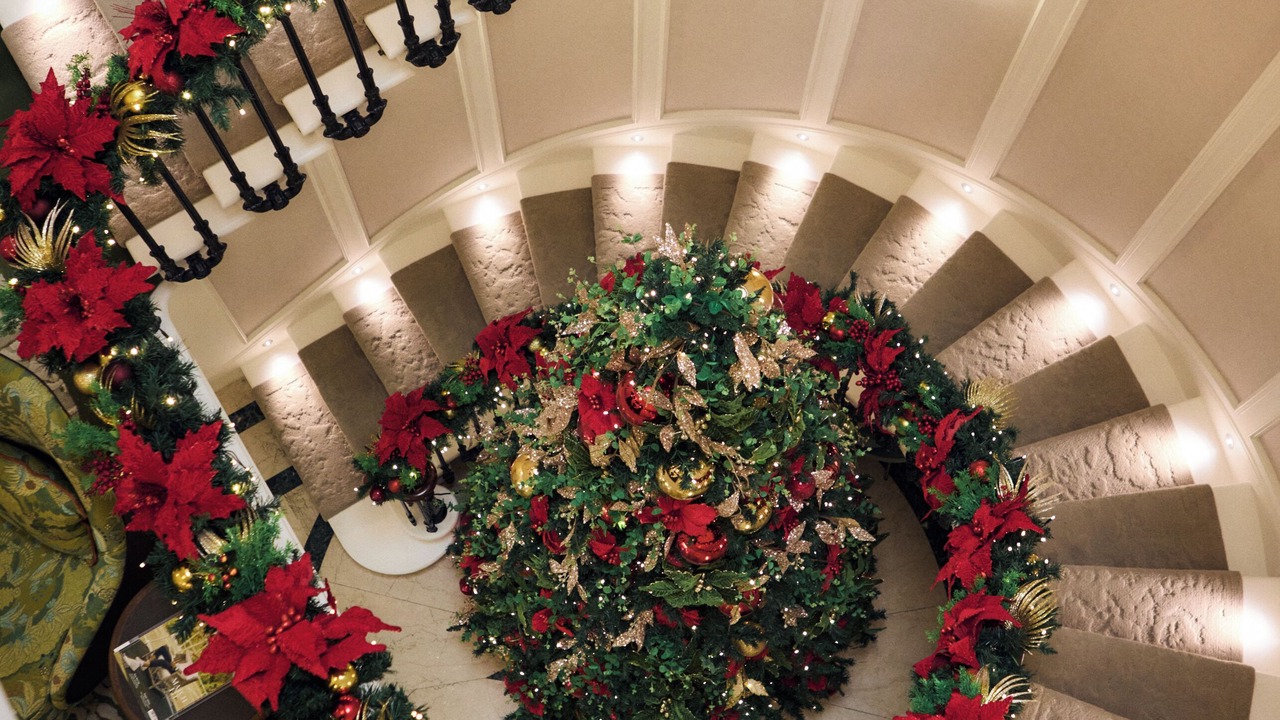 Photo of Others in Belgravia