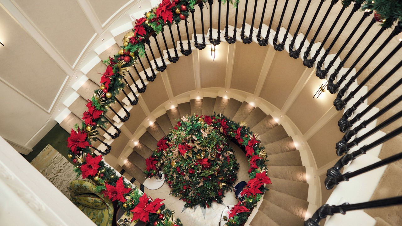 Photo of Others in Belgravia