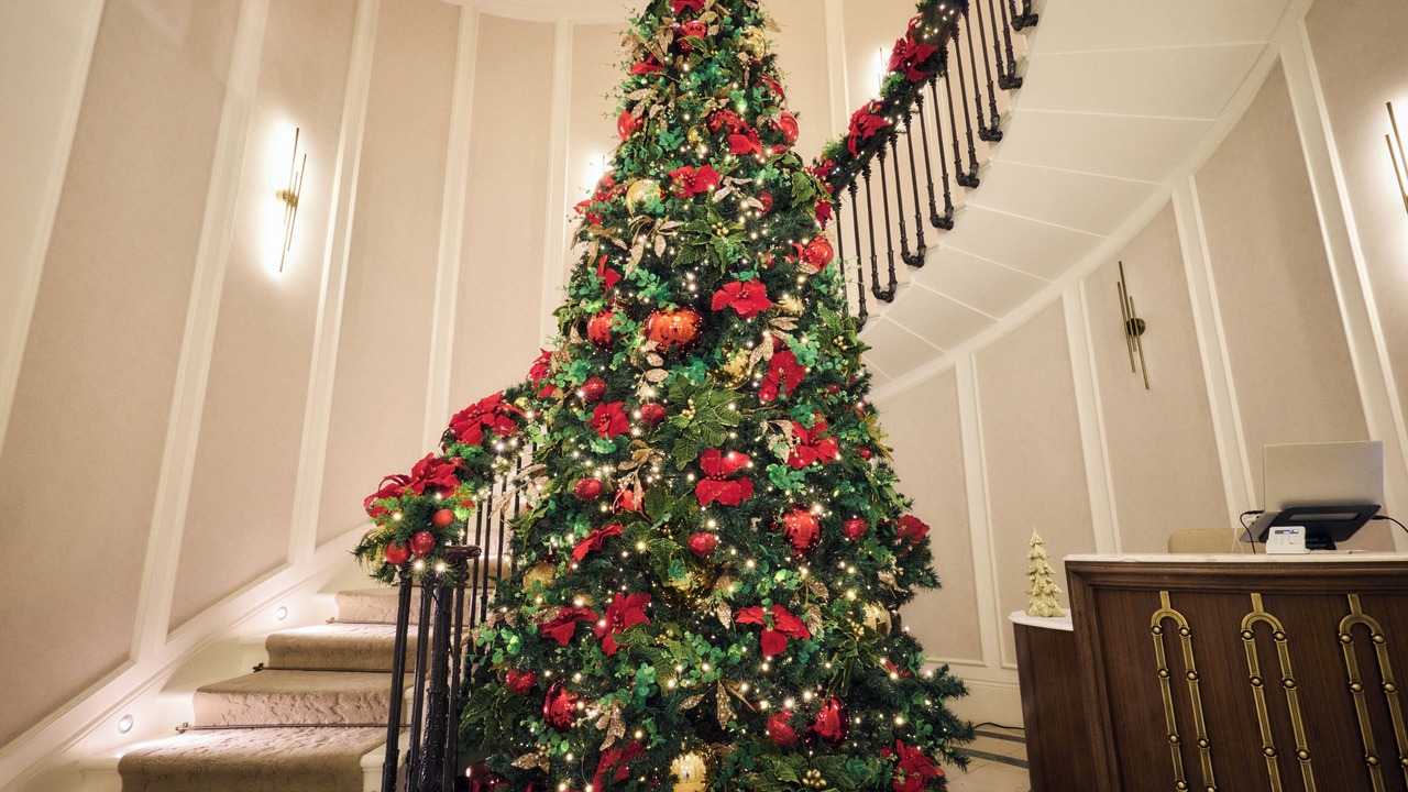 Photo of Others in Belgravia