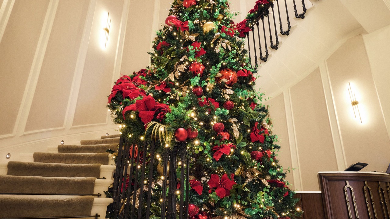 Photo of Others in Belgravia