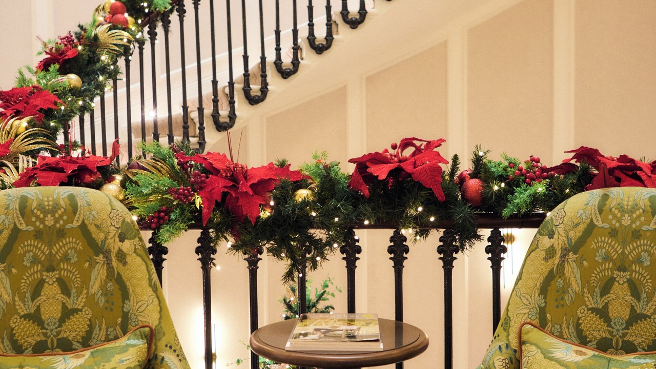 Photo of Others in Belgravia