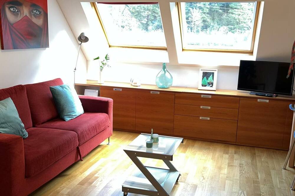 Photo of Livingroom in Canfranc