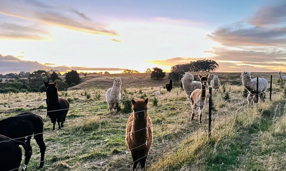 Photo of Others in Skipton