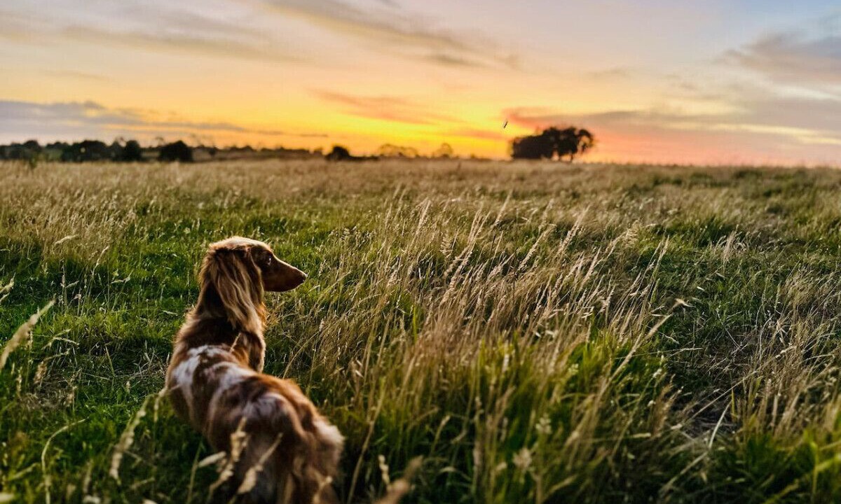 Photo of Outdoor in Skipton