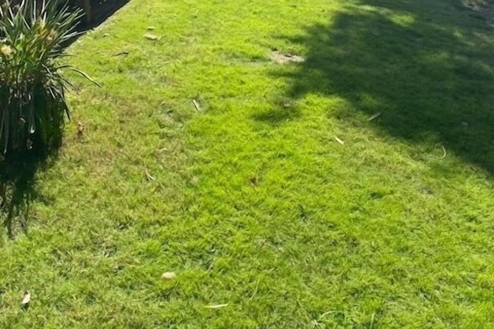 Photo of Outdoor in Evans