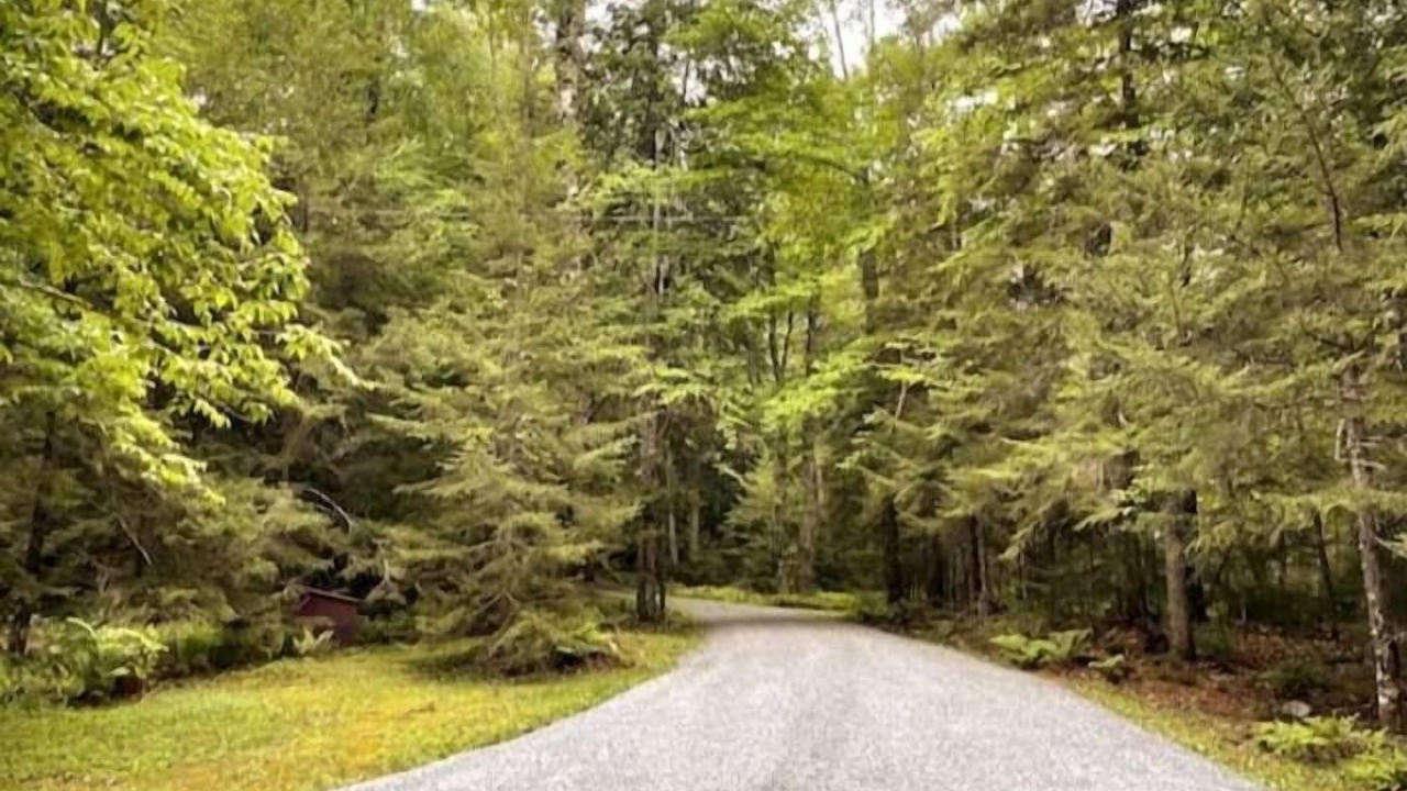 Photo of Outdoor in Town of Webb