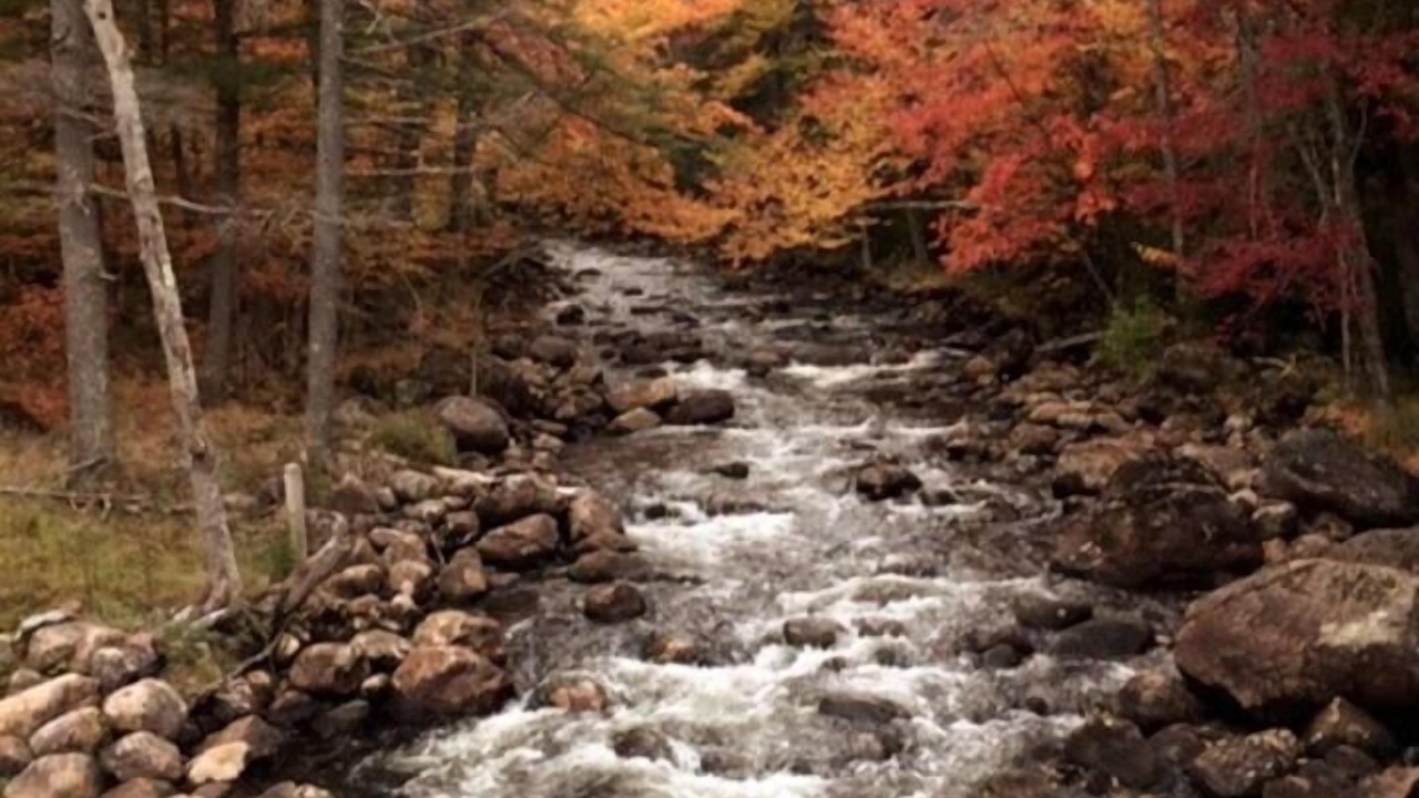 Photo of Others in Town of Webb