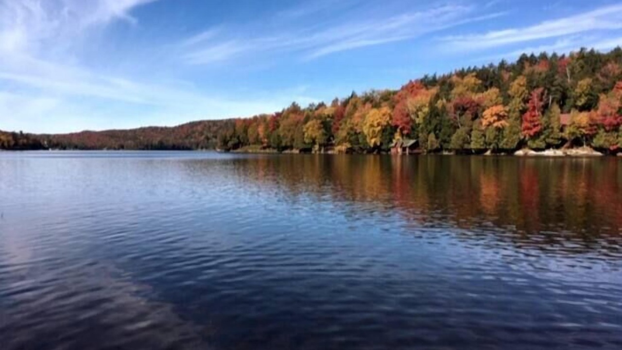 Photo of Others in Town of Webb