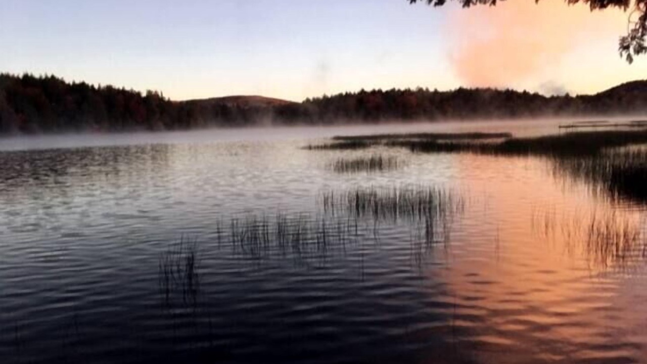 Photo of Others in Town of Webb