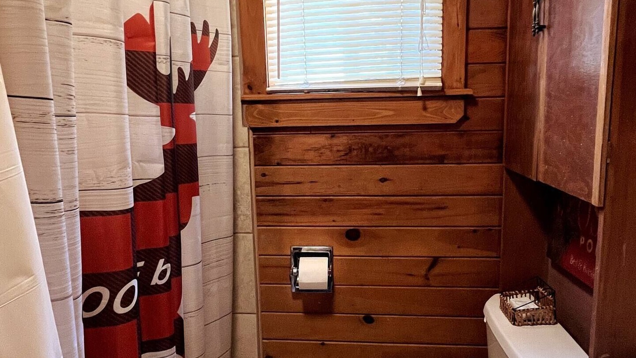 Photo of Bathroom in Town of Webb