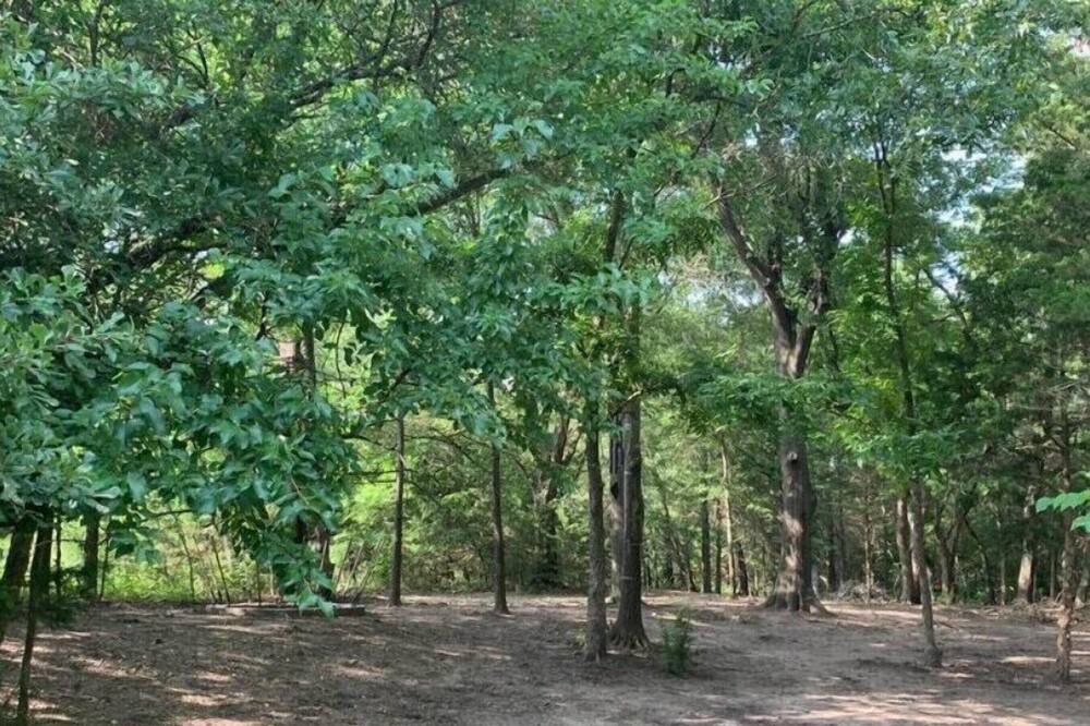 Photo of Outdoor in Irene