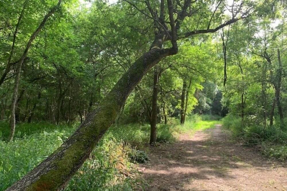 Photo of Outdoor in Irene