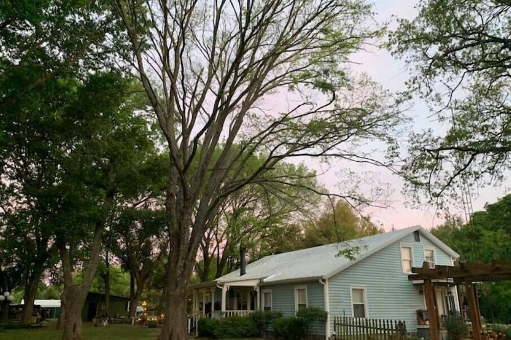 Photo of Outdoor in Irene