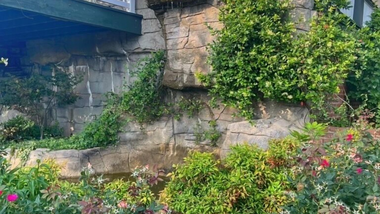 Photo of Outdoor in Winston - Salem