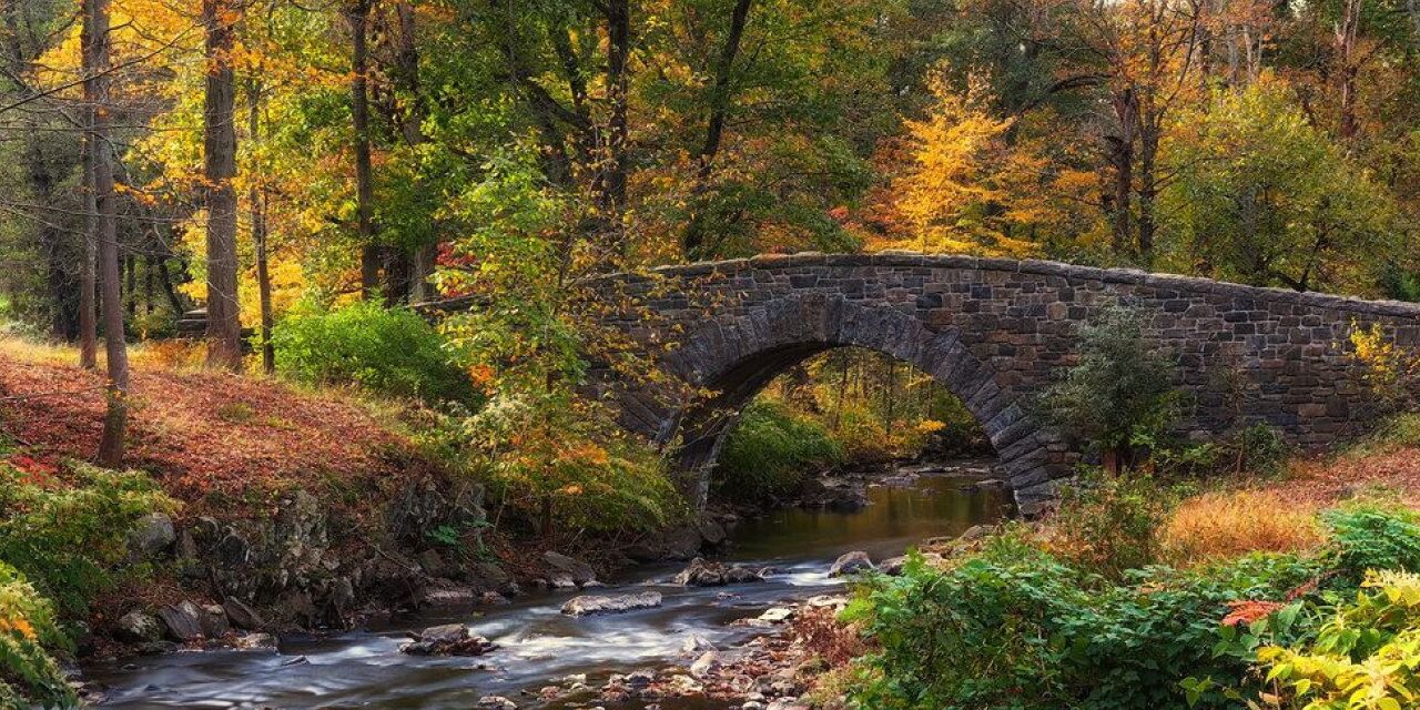 Photo of Outdoor in White Plains