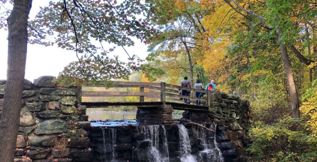Photo of Others in White Plains