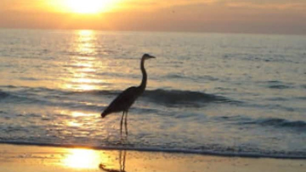 Photo of Others in Largo