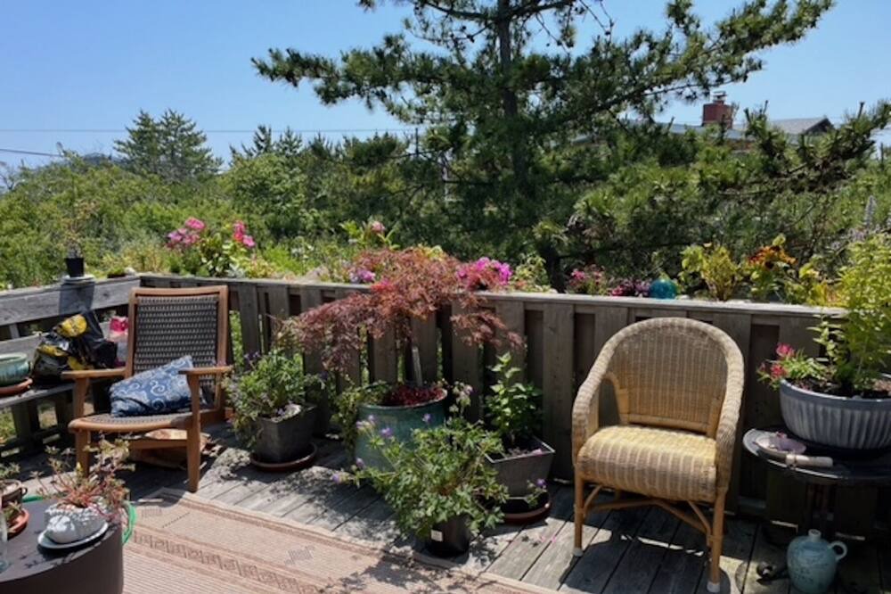 Photo of Outdoor in Bayberry Dunes