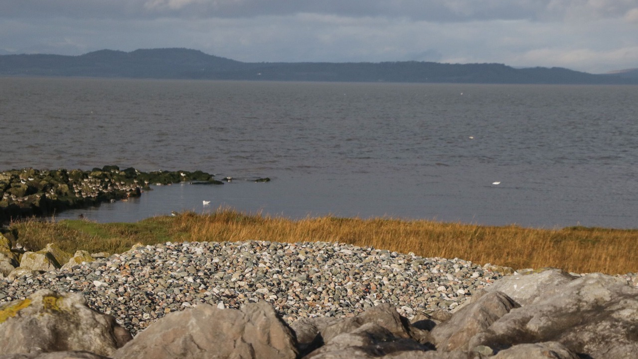 Photo of Others in Morecambe