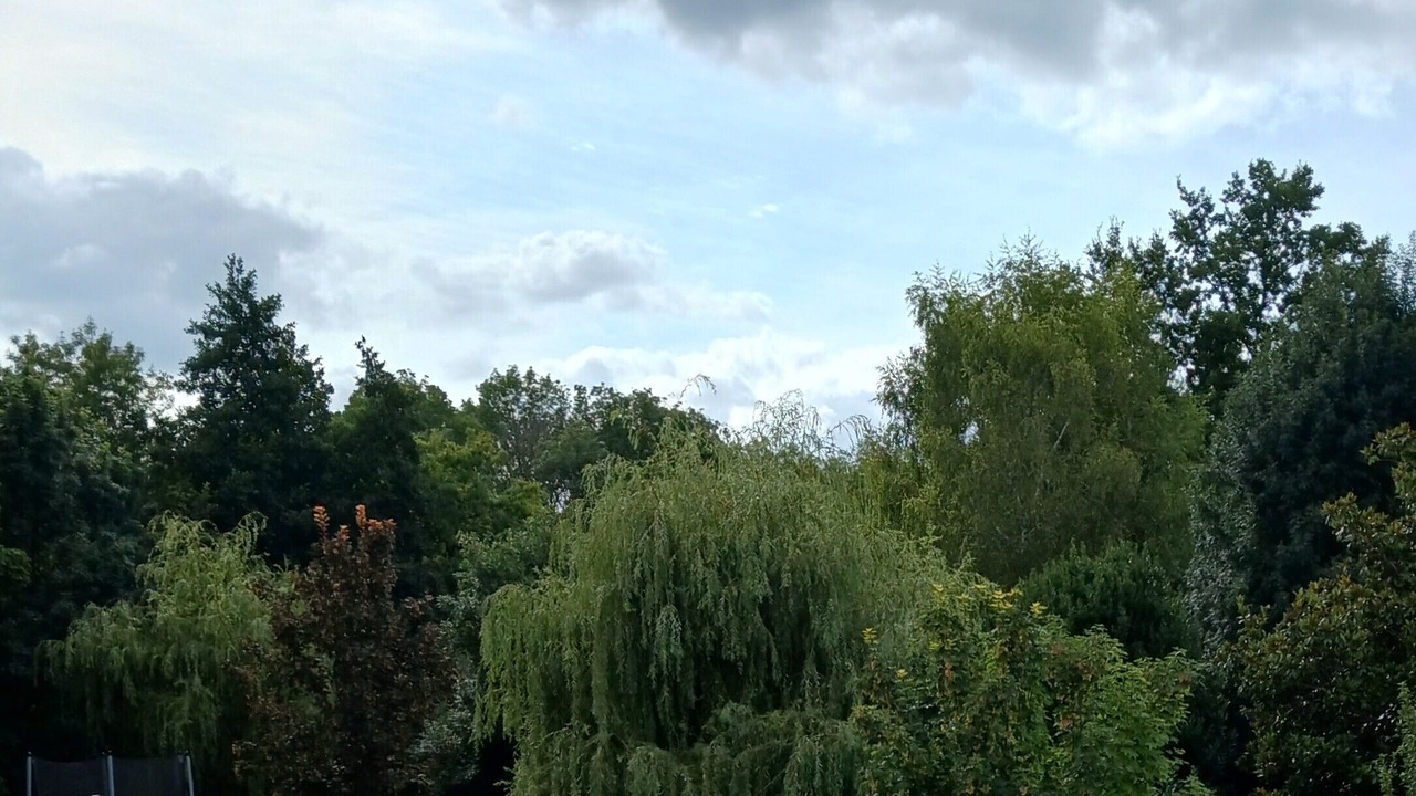 Photo of Others in Gond-Pontouvre