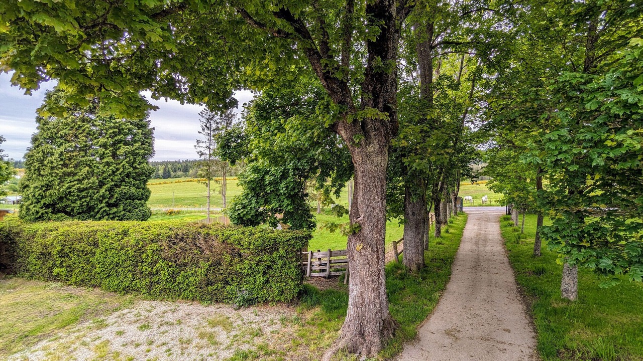 Photo of Outdoor in Saint-Romain-Lachalm