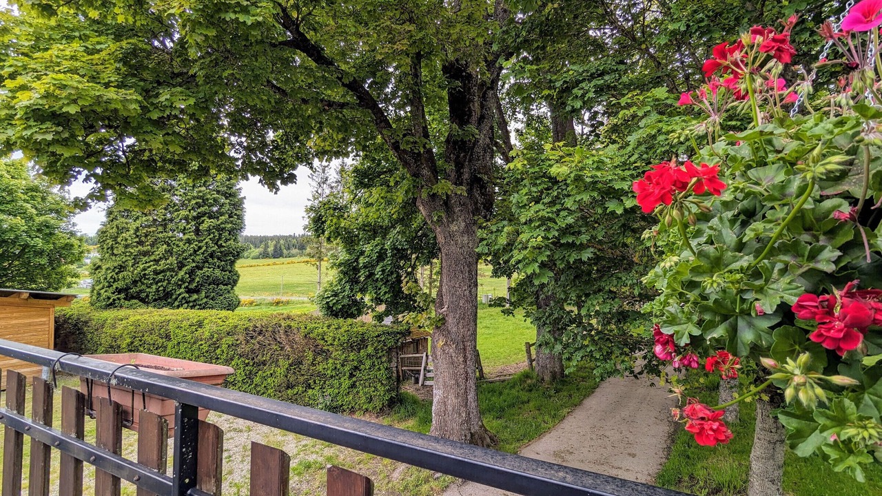 Photo of Outdoor in Saint-Romain-Lachalm