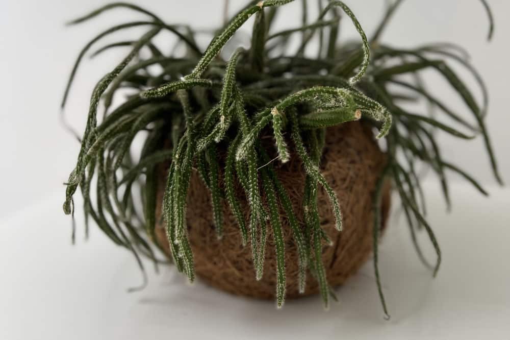 Photo of Others in Henin-Beaumont