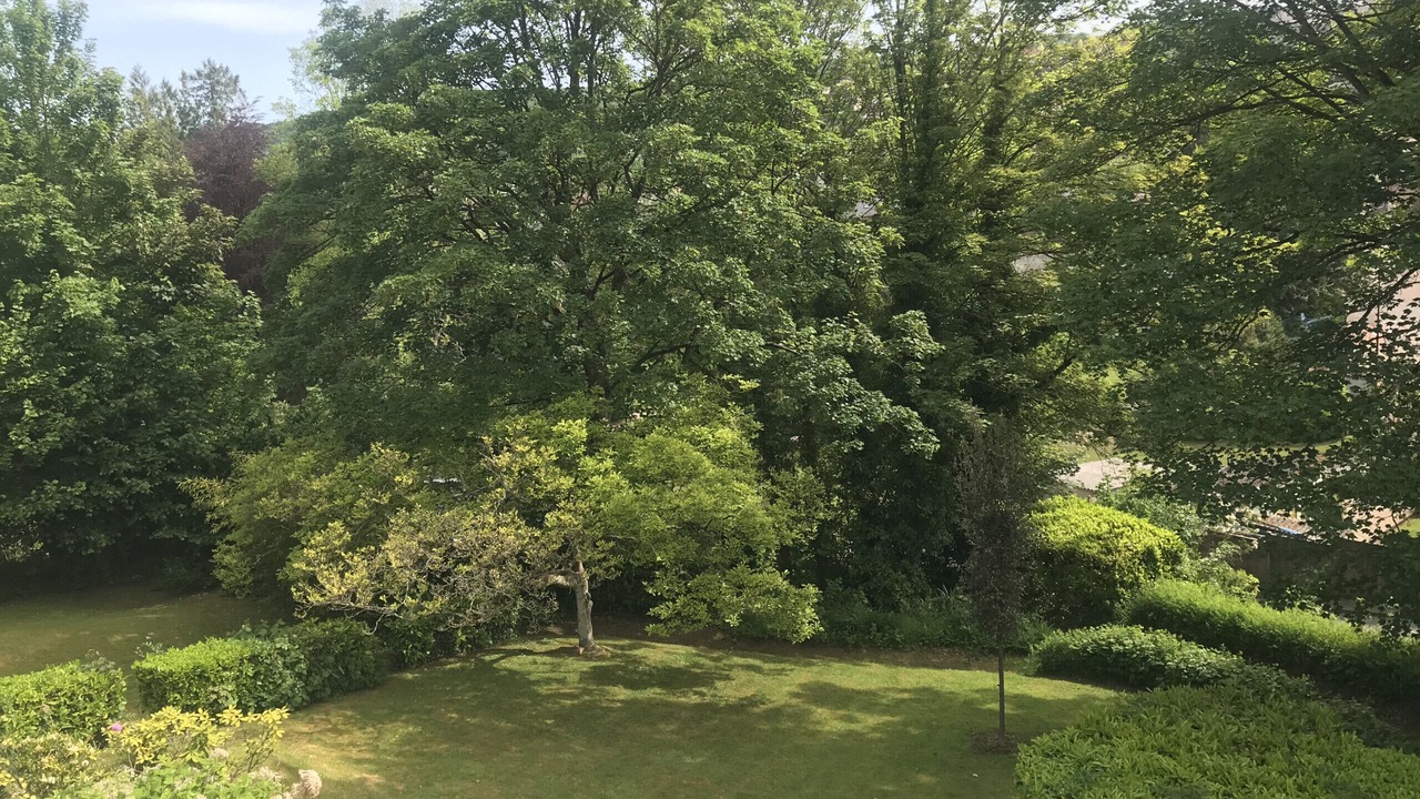 Photo of Outdoor in Cany-Barville