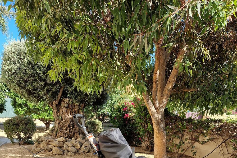 Photo of Outdoor in Mutxamel