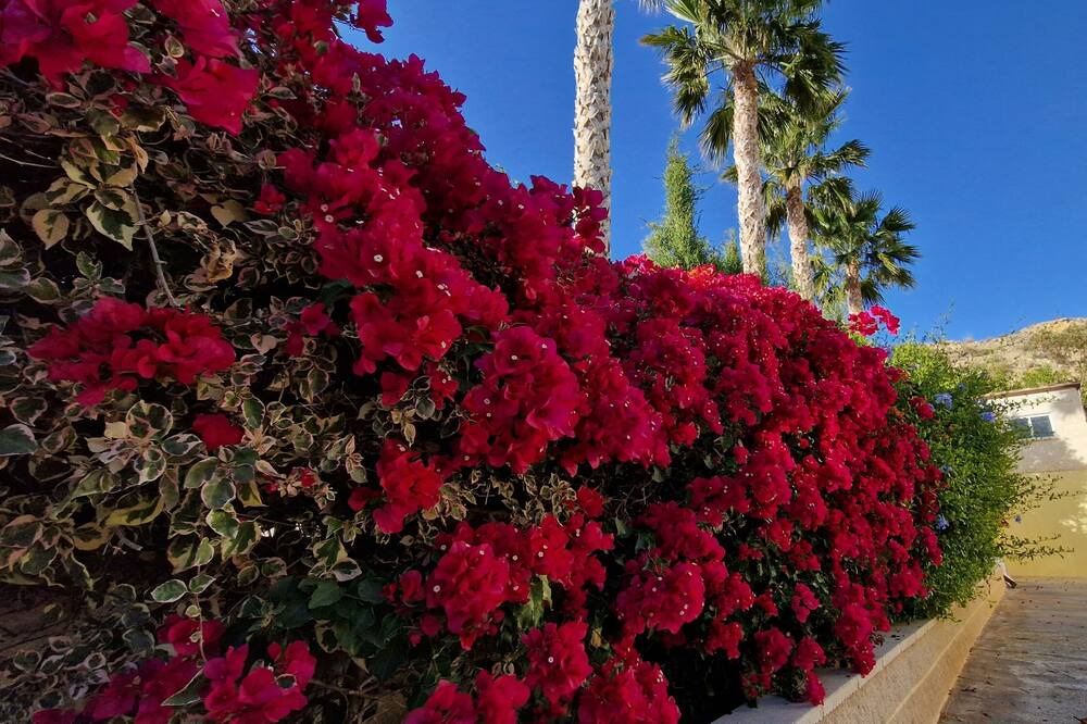 Photo of Outdoor in Mutxamel