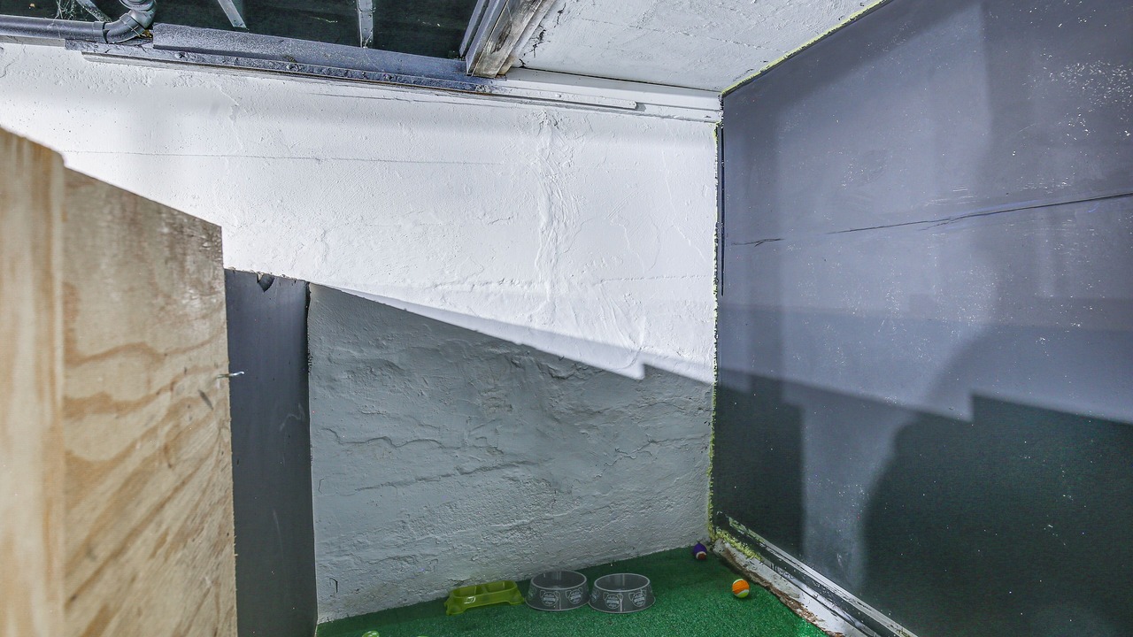 Photo of Others in Pagedale