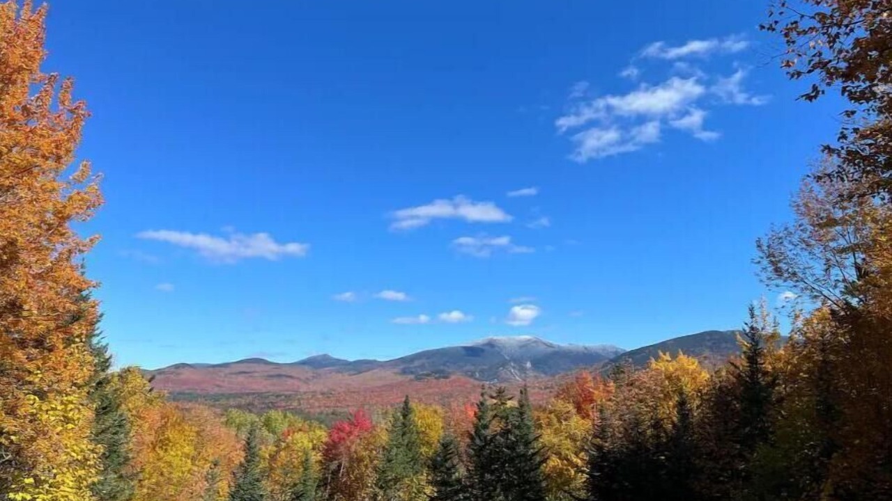 Photo of Others in Franconia