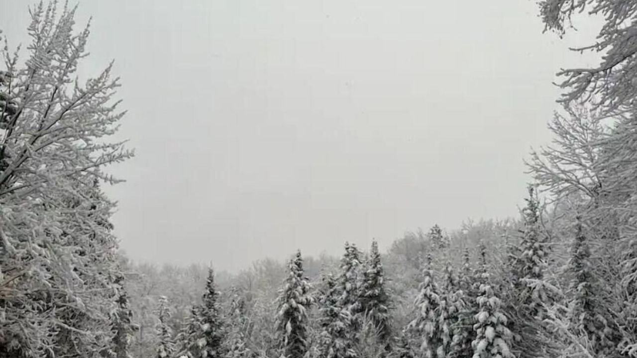 Photo of Others in Franconia