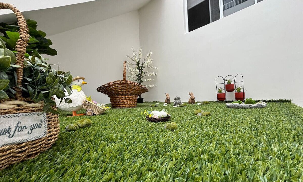 Photo of Outdoor in Xalapa