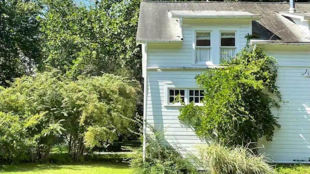 Photo of Outdoor in West Shokan