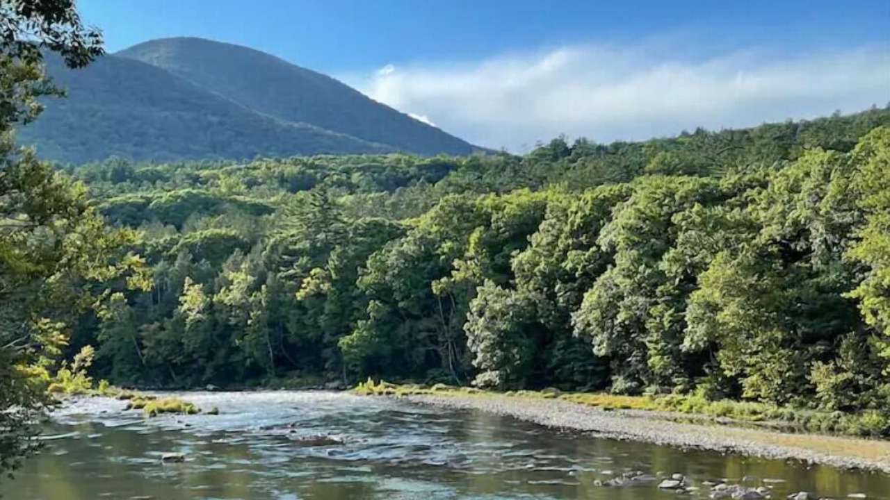 Photo of Others in West Shokan