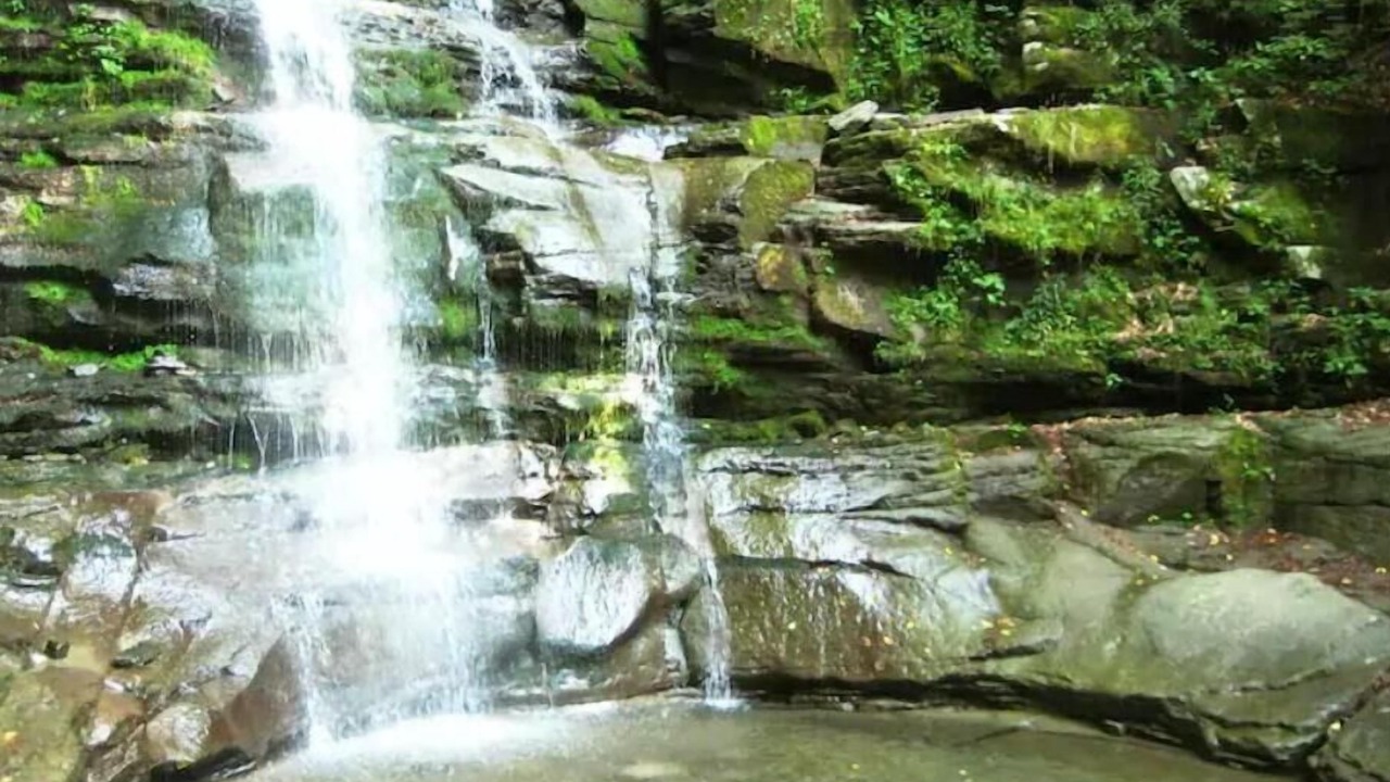 Photo of Outdoor in West Shokan