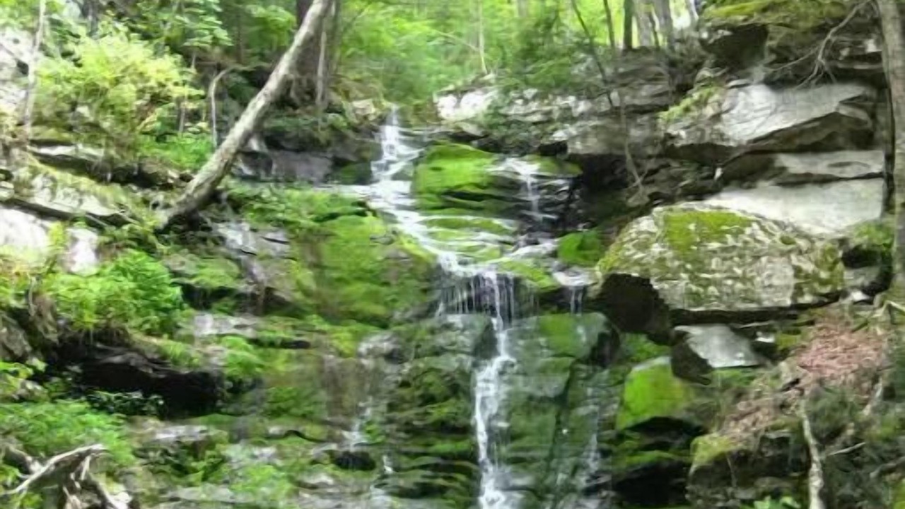 Photo of Outdoor in Town of Olive